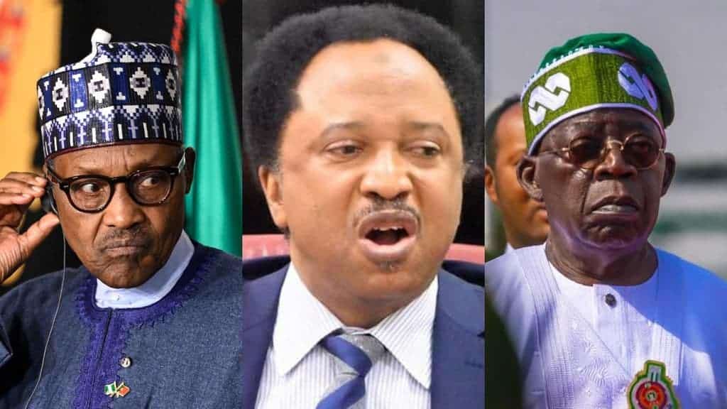 Muhammadu Buhari, Shehu Sani, Bola Tinubu