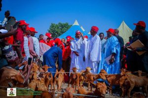 Gov Yusuf Empower Kano Women With Red Goats