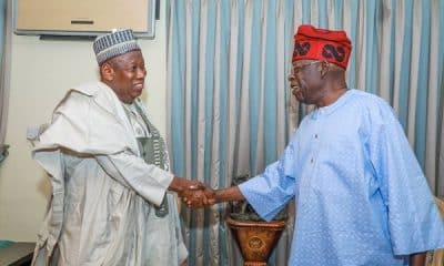 President Tinubu Is Solving Nigeria's Challenges With Determination - Ganduje