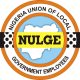 LG Autonomy: NULGE Slams President Tinubu, Soludo, Otti