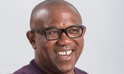 Peter Obi Supporters, Obidient Movement, Unveil New Logo