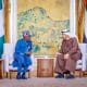 Details Of Crucial Meeting Between Tinubu And President Of UAE Emerge