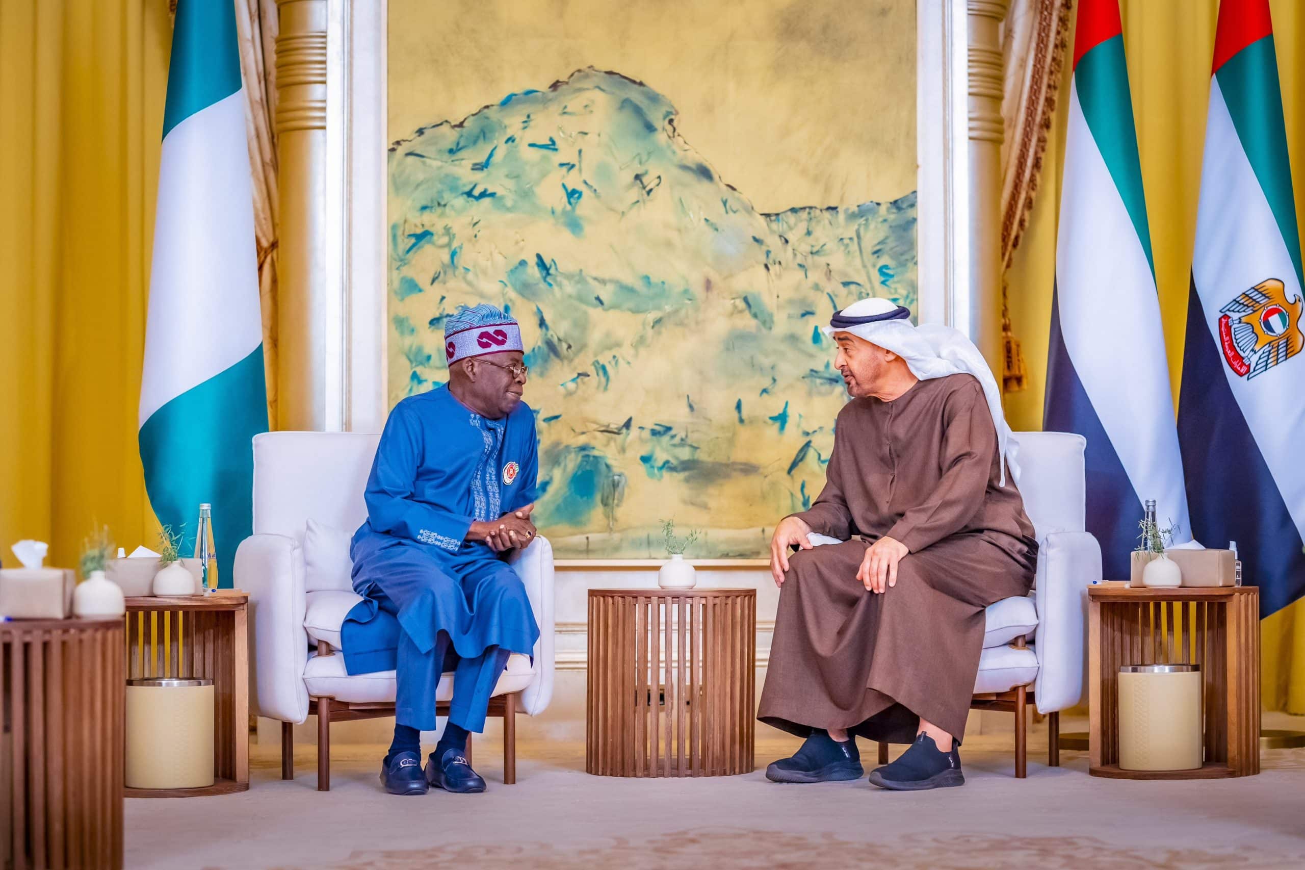 Details Of Crucial Meeting Between Tinubu And President Of UAE Emerge