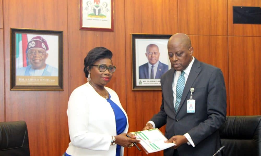 Dabiri-Erewa Applauds Cardoso On Launch Of Non-Resident Accounts