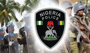 Police Force Smashes Criminal Syndicates, Recovers 134 Firearms, Rescues 302 Hostages