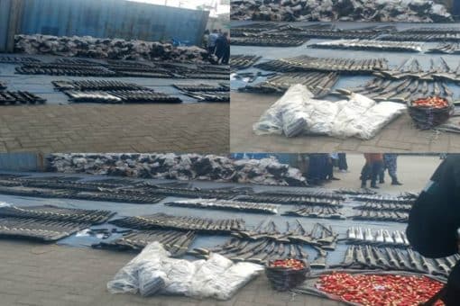 Just In: Customs Intercepts Large Cache Of Arms, Ammunition In Lagos