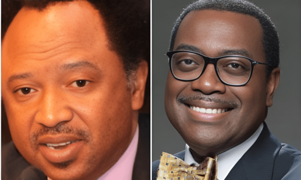 2027 Presidency: Why Adesina Should Focus On African Development Instead Of Politics – Shehu Sani