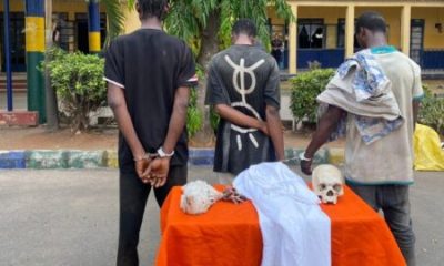 Three Suspects Arrested In Imo With Human Skull, Ritual Items