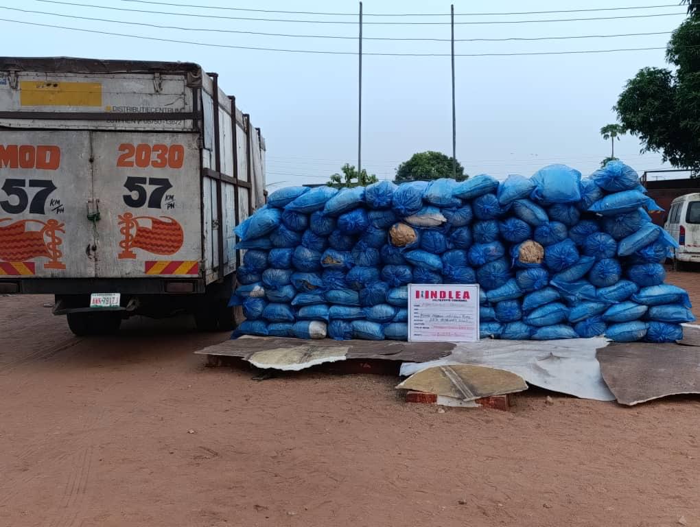 NDLEA Shares Operation Details As Businessman Excretes 120 Wraps Of Cocaine At Kano Airport