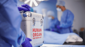 Tinubu Govt Unveils New Guidelines On Organ Transplant