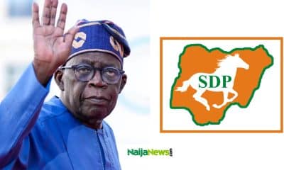 Tinubu: SDP Reveals Owner, Those Bankrolling Party