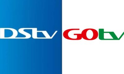 'Blatant Disregard': FCCPC Sues DStv, GOtv For Increasing Subscription Price