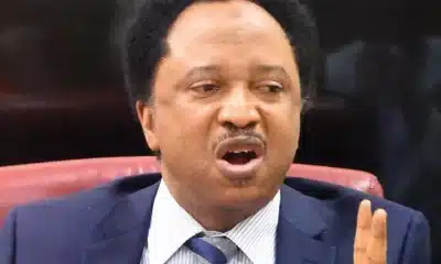 APC Will Win Kaduna In Presidential, NASS Elections In 2027 - Shehu Sani